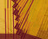 Beams 3 Shuttle Cotton Handloom Saree - Yellow