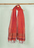 Chadarangam Ballakammi Cotton Handloom Dupatta - Orange
