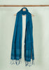 Chadarangam Ballakammi Cotton Handloom Dupatta - Dark Blue