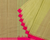 N2 Kuppdam Cotton Handloom Saree - Light Green