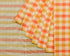 Checks Multicolour Cotton Handloom Saree - Light Green,Orange,Beige